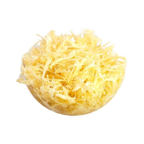 画像2: ファイヤースターター　TAKENOKO（着火剤）　15個入り (2)